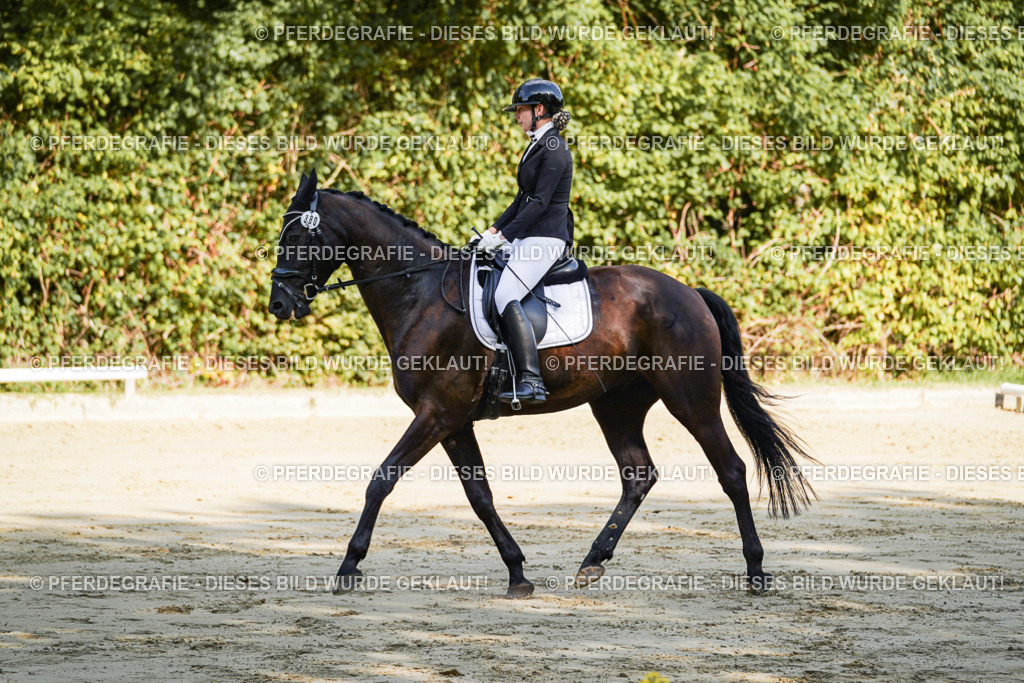 DSC08087 | Pferdegrafie