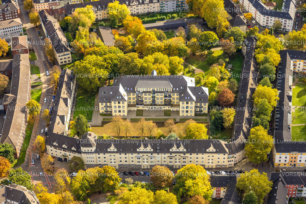 Essen251003340Mitte | Luftbild, Wohnsiedlung Bärendelle mit herbstlichen Bäumen, Frohnhausen, Essen, Ruhrgebiet, Nordrhein-Westfalen, Deutschland