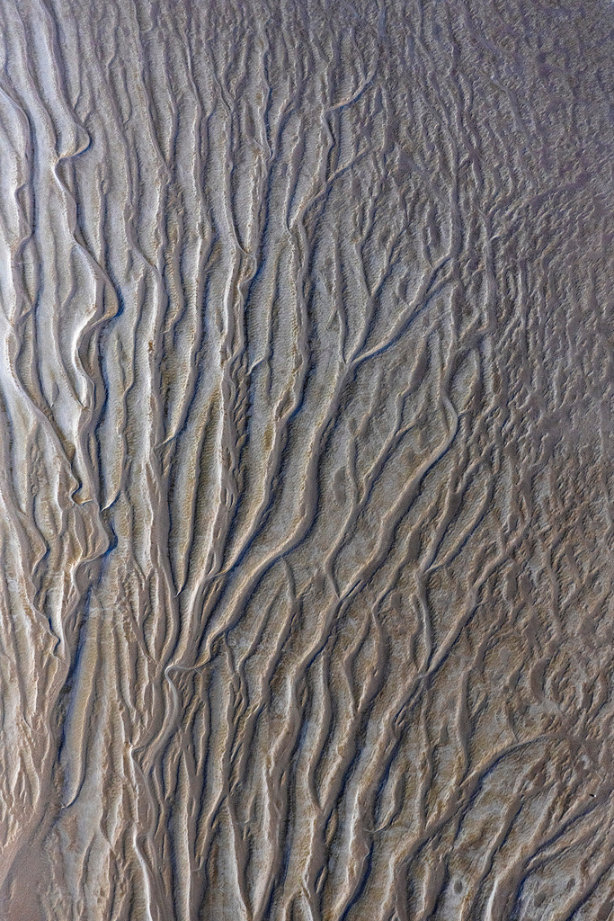 dr__0074520.jpg | HAHNöFERSAND 01.09.2021 Prielenbildung an den Uferbereichen mit Wattenlandschaft am Flußverlauf der Elbe in Hahnöfersand im Bundesland Niedersachsen, Deutschland. // Formation of tidal creeks on the bank areas with mud flats along the river of the River Elbe in Hahnoefersand in the state Lower Saxony, Germany. Foto: Daniel Reiter