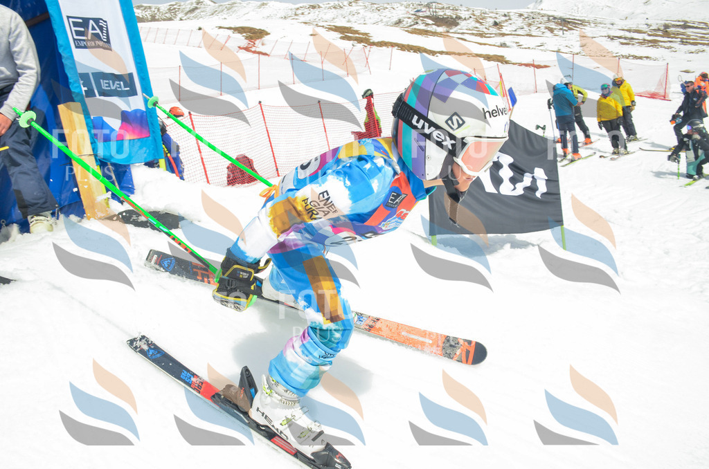 _ELE7863 | holidayphoto