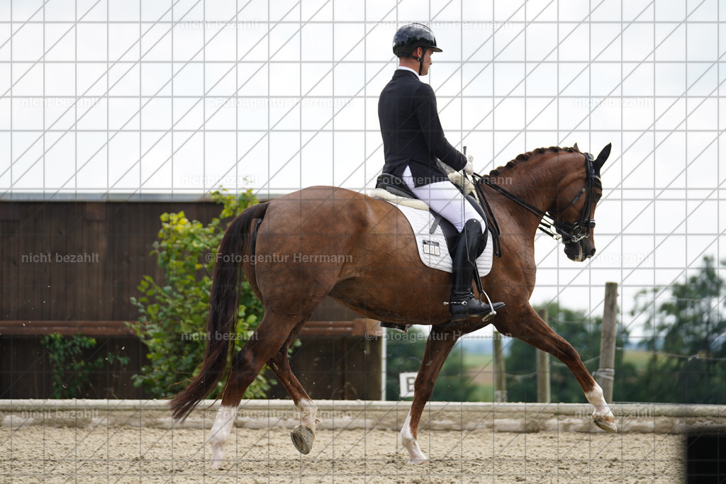 20230826-FAH05913 | Forstinning, 2023, Dressurturnier, Turniersportbilder, Turnierfotografen Bayern, Fotoagentur Herrmann, Reitsportfotografie, Turnierbilder
