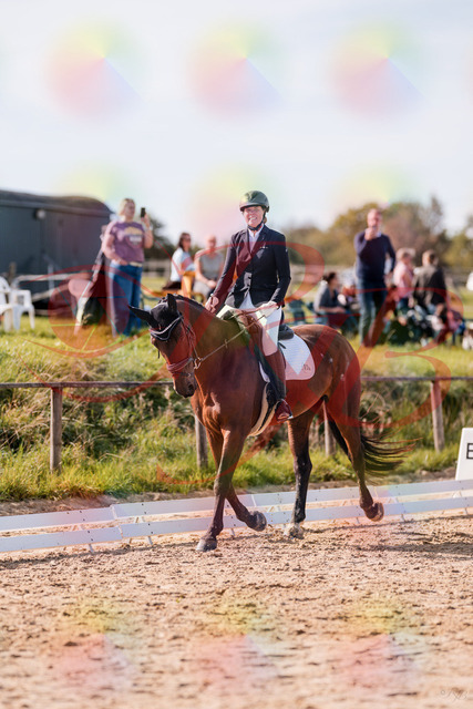 2026_10_03_Siefer-Hof_130159_Z81_54407581 | Professionelle Reitsport-, Turnier- und Eventfotografie von Robert Broda. Galerien mit ausgewählten und bearbeiteten Bildern direkt online ansehen und bestellen.