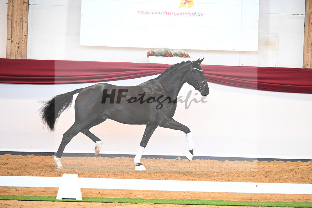 Kat-Nr. 51 v. Toto jr._Winklmaier_66220908 | hf-fotografie - Realizzato con Pictrs.com