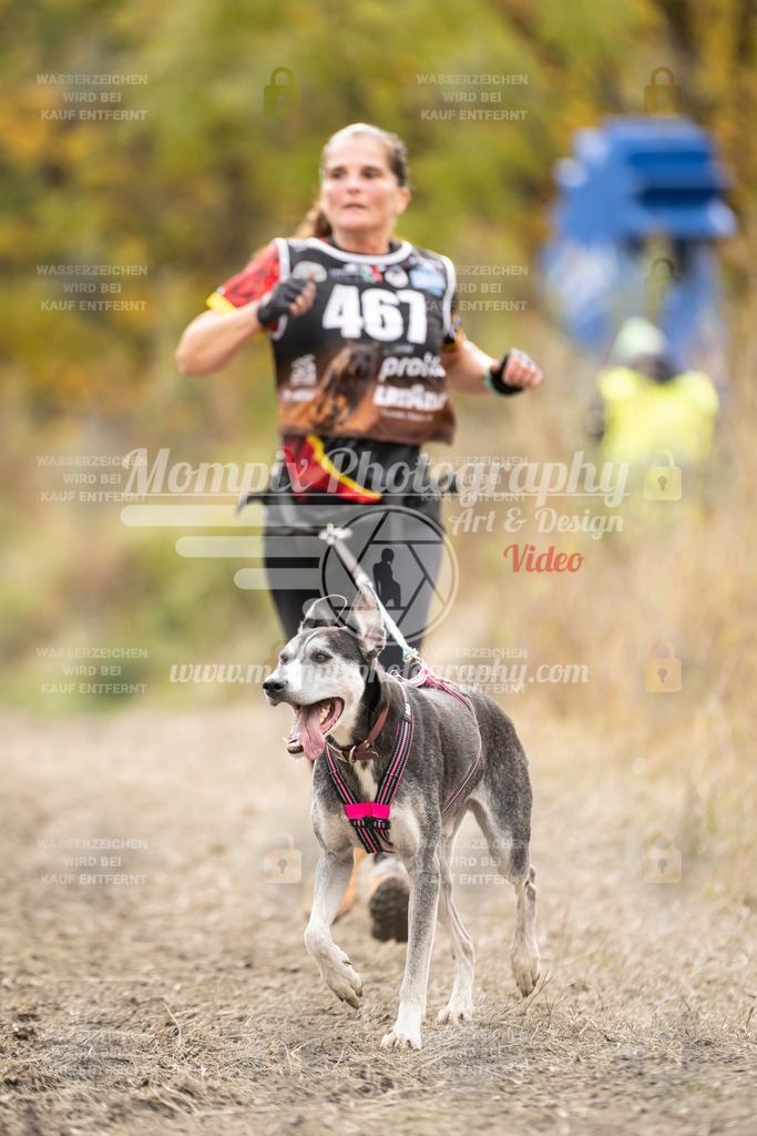 MompixPhotography_ICF_WC_2024_SA_Run_-482 | PayLife