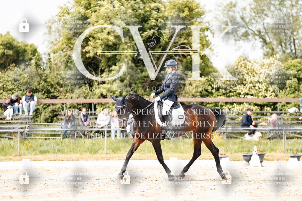CK901158 | Turnierfotografie Pferdefotografie Trier Rheinland-Pfalz Pferdesport Reitsport Tierfotografie Sportfotografie Pferdevideo Pferdevideografie Equestrianvideography equestrianphotography  - Realisiert mit Pictrs.com
