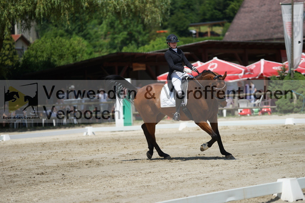 DSC05167 | equestrian-live-com