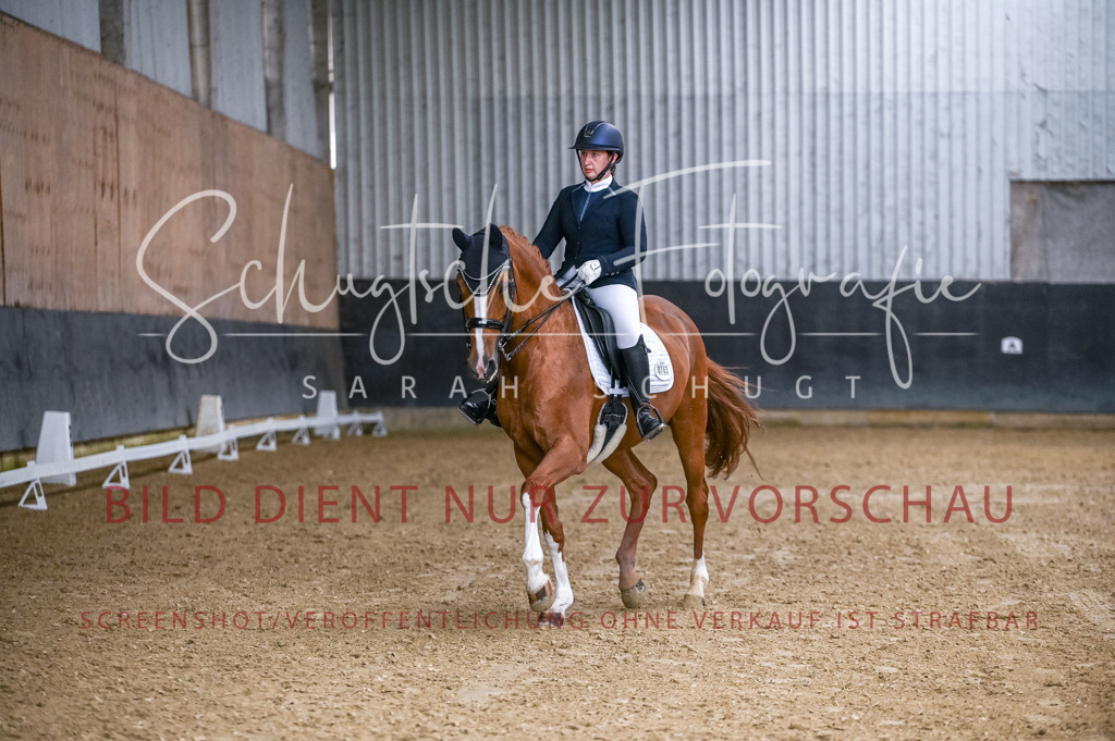 Schugtsche-Aluta25-56.Dressurprf.L1Kand.-133 | Schugtsche Fotografie - Realisiert mit Pictrs.com