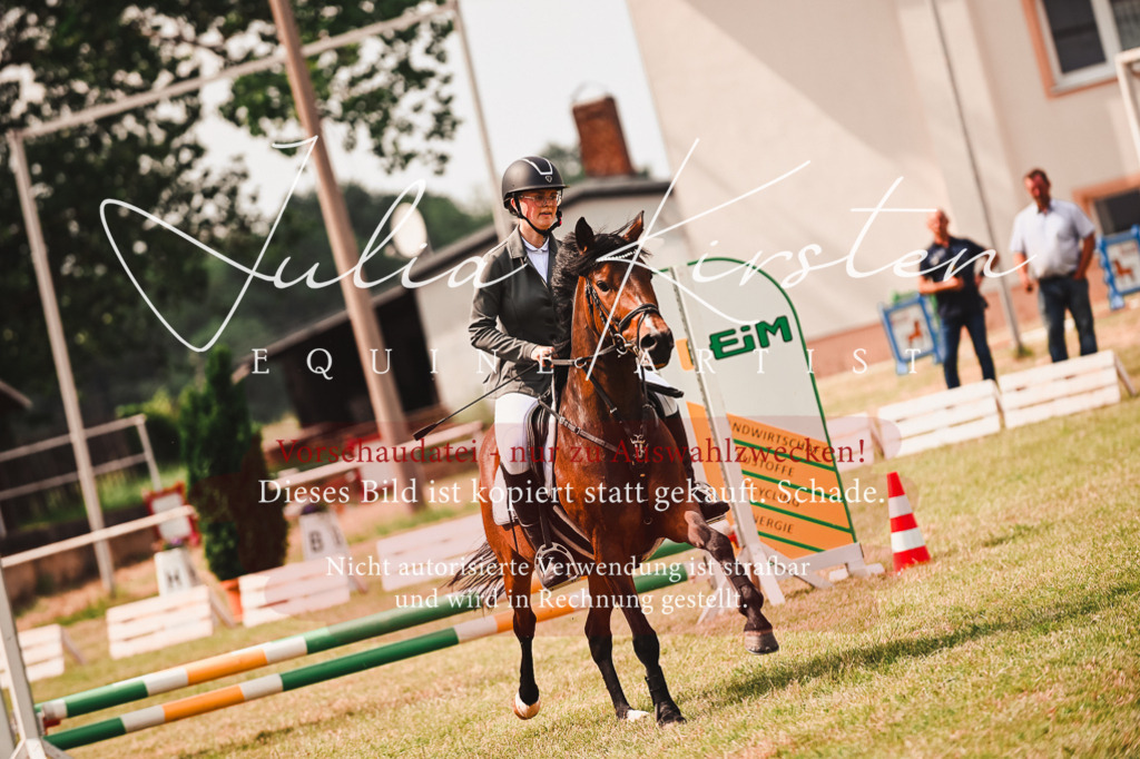 DSC_6909 | Pferde- und Turnierfotografie in Westsachsen. Pferdeportraits, Auftragszeichnungen und intuitive Kunst.