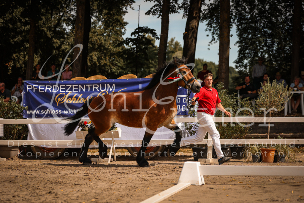 1.Sa00065 | Leoni Ertmer Photography - Realisiert mit Pictrs.com