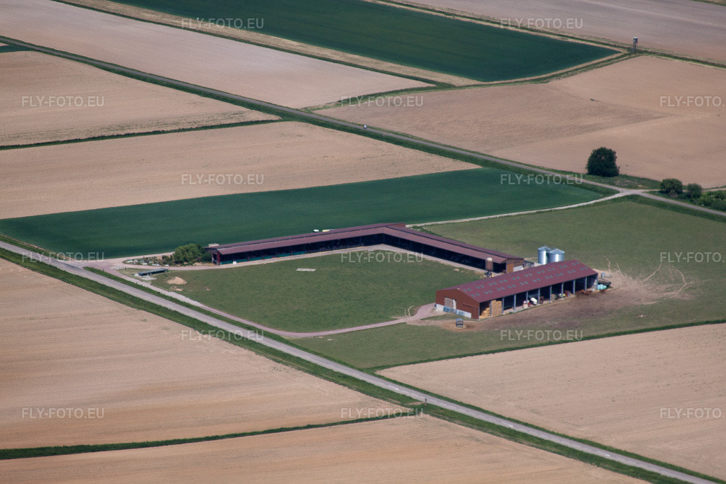 Vue aérienne: Brochet à Schleithal dans le département Bas Rhin, France – .Photo: IMG_40973(40952).jpg prise le 08/05/2011 par Werner Riehm/FLY-FOTO.eu – Résolution de l'original: 4752 x 3168 px