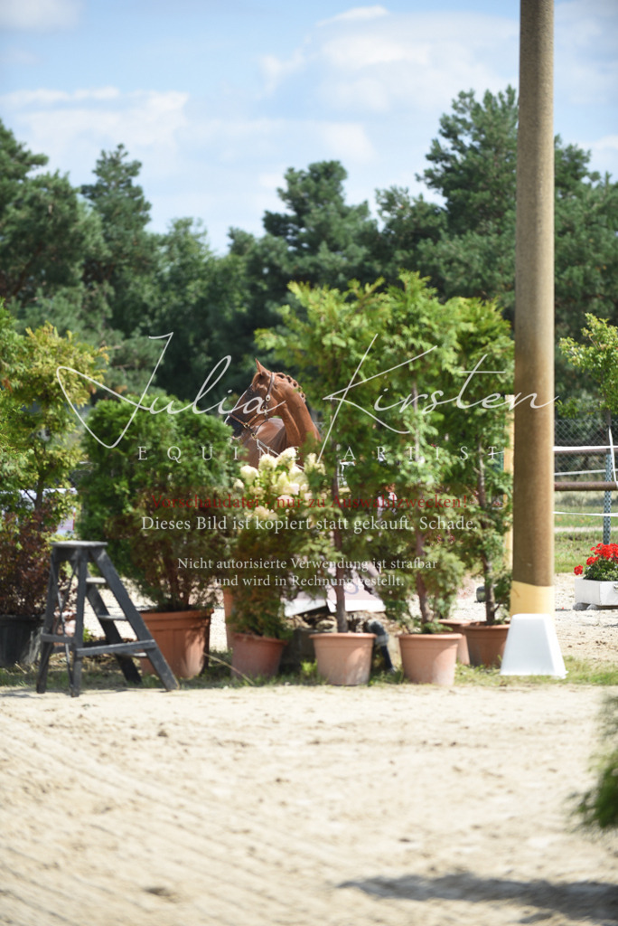 DSC_8973 | Pferde- und Turnierfotografie in Westsachsen. Pferdeportraits, Auftragszeichnungen und intuitive Kunst.