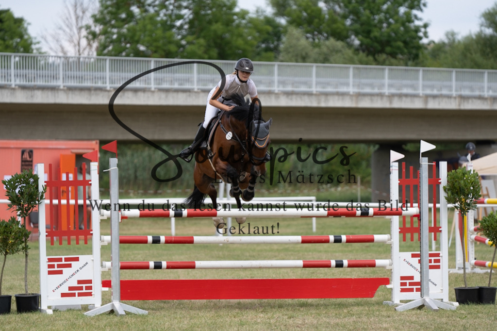 A7V02253 | Pferdefotograf