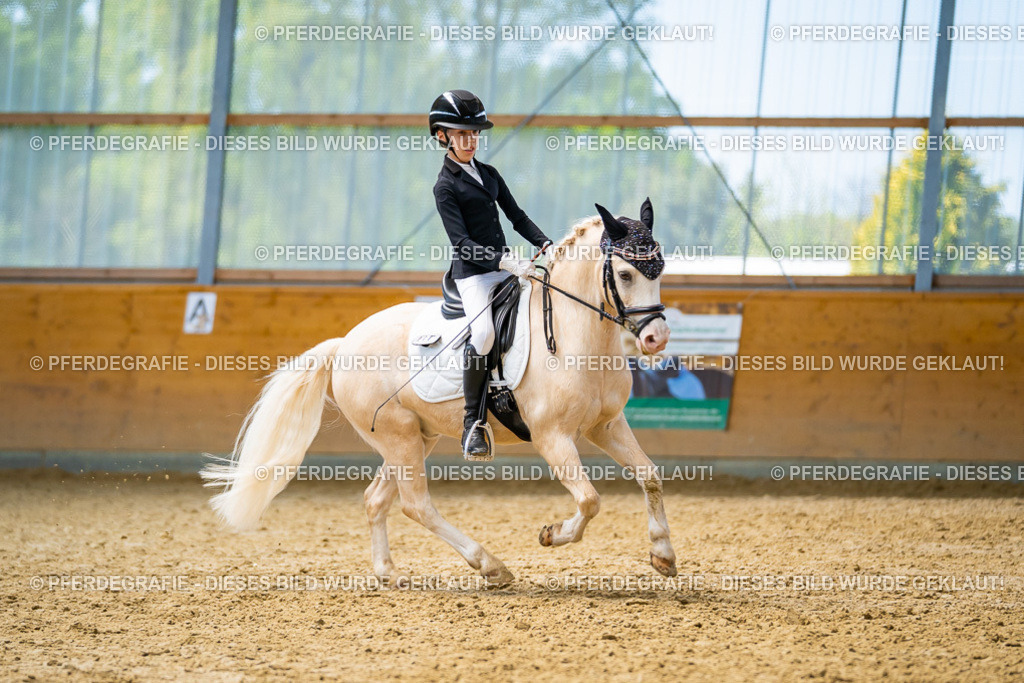 DSC09081 | Pferdegrafie