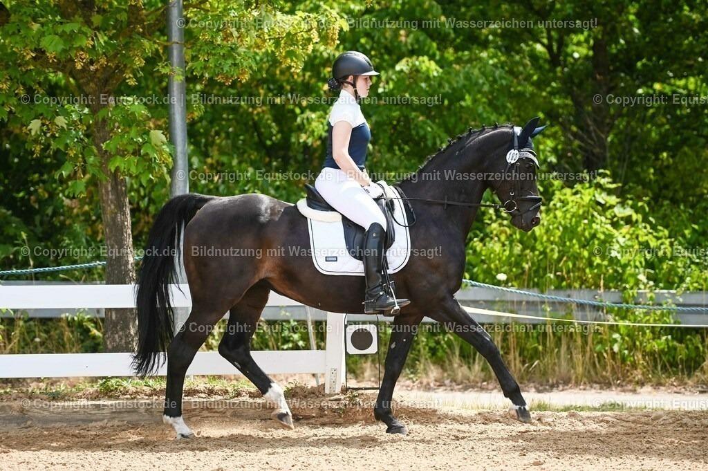 20230715_09_Dressur-WB_0206 | equistock