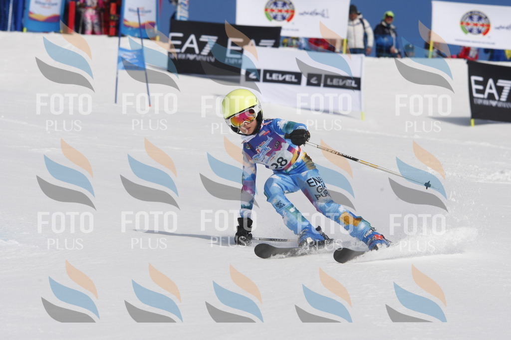 _W1G0386 | holidayphoto