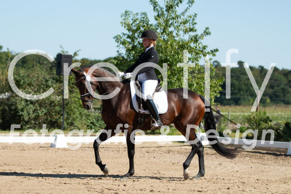 IMG_4964 | Creatify Fotografie