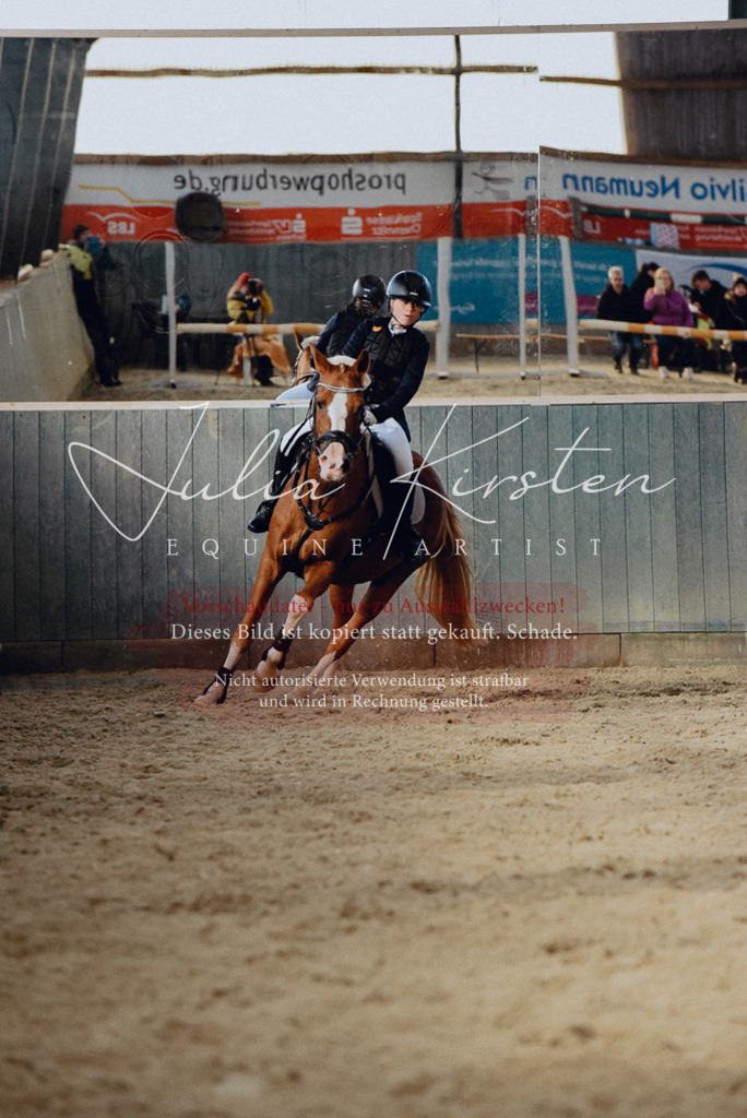 DSC_7454 | Pferde- und Turnierfotografie in Westsachsen. Pferdeportraits, Auftragszeichnungen und intuitive Kunst.