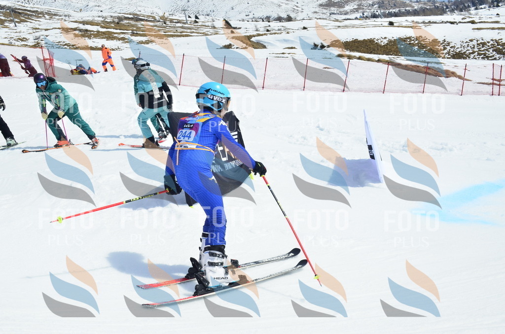 _ELE1772 | holidayphoto