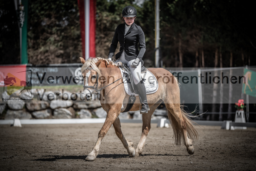 DSC_0706 | equestrian-live-com