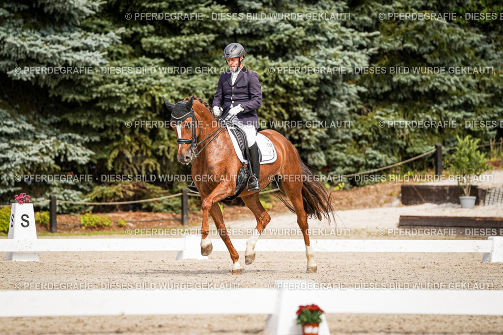 DSC05653 | Pferdegrafie