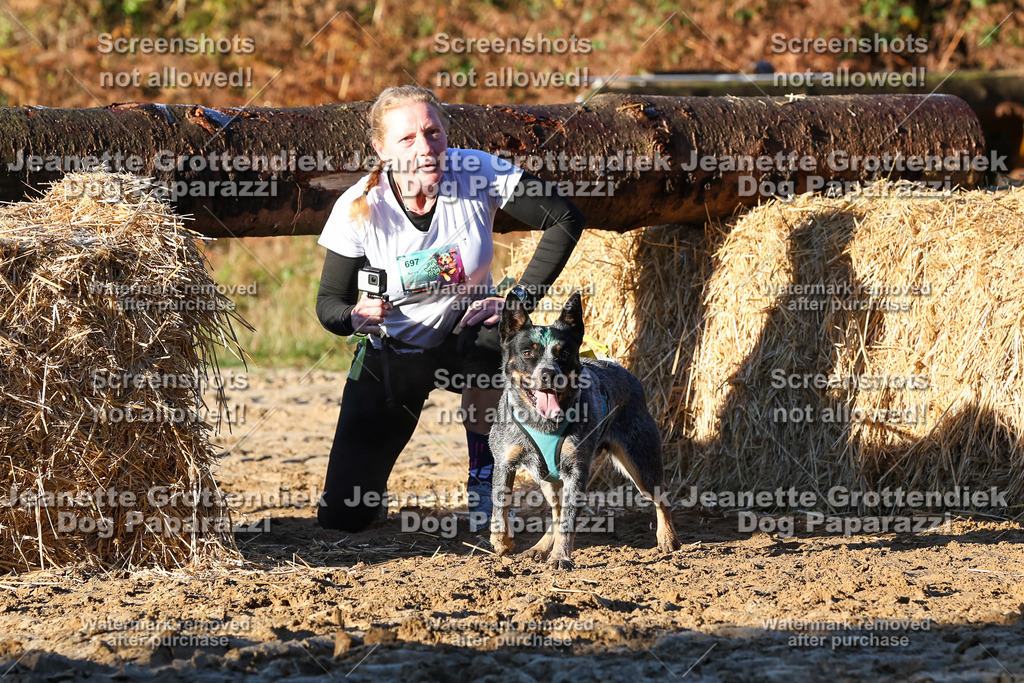 Dog Paparazzi - Strongdog 10-25-1034 | Dog Paparazzi Jeanette Grottendiek Fotografie & Videografie - Realisiert mit Pictrs.com