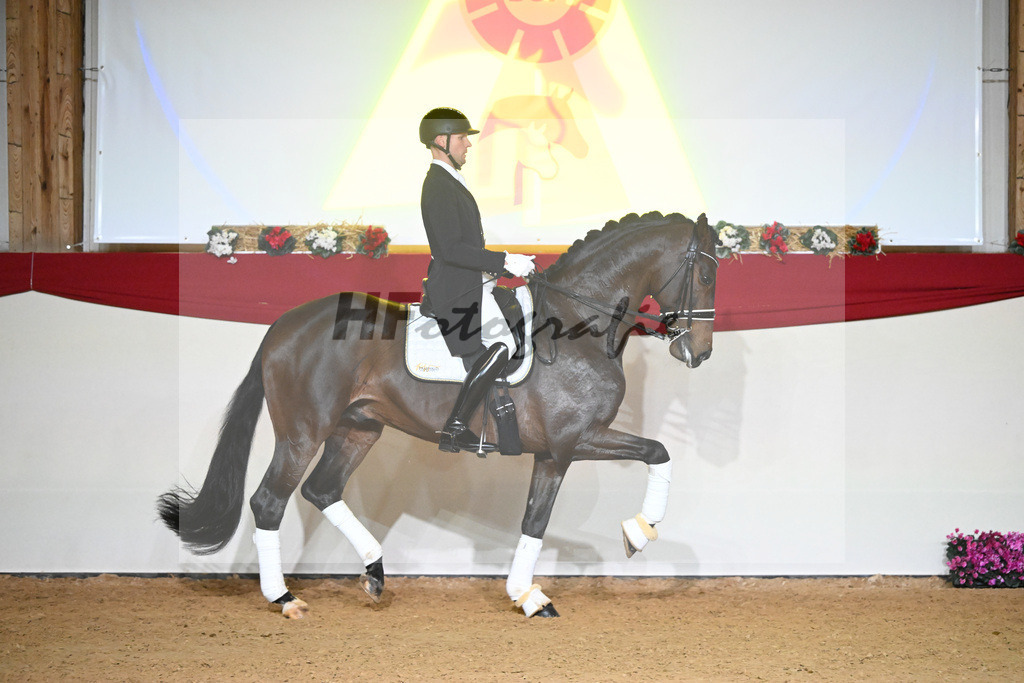 Knock Out_1234884 | hf-fotografie - Realisiert mit Pictrs.com