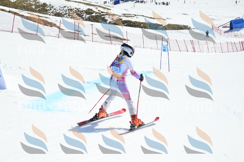 _ELE1066 | holidayphoto