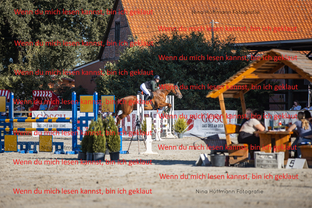 BK1A7623 | Turnierbilder Turnierfotos Nina Hüffmann Turnierfotografie Pferdefotografie Tierzeichnung Haustierzeichnung Pferdezeichnung Hundezeichnung Videograf  - Realisiert mit Pictrs.com