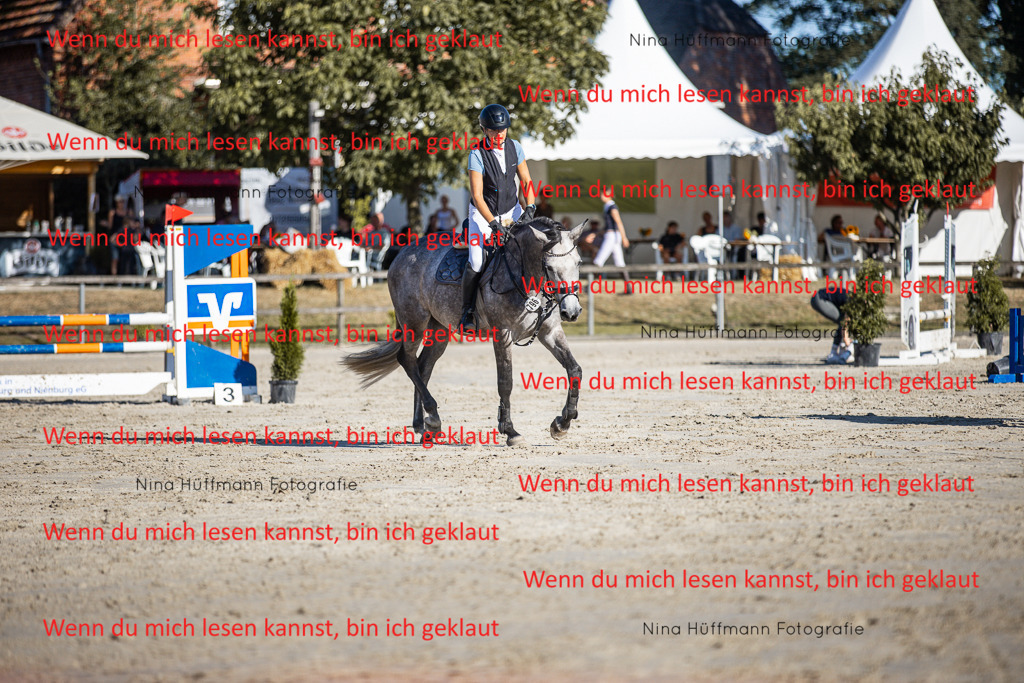 BK1A7517 | Turnierbilder Turnierfotos Nina Hüffmann Turnierfotografie Pferdefotografie Tierzeichnung Haustierzeichnung Pferdezeichnung Hundezeichnung Videograf  - Realisiert mit Pictrs.com