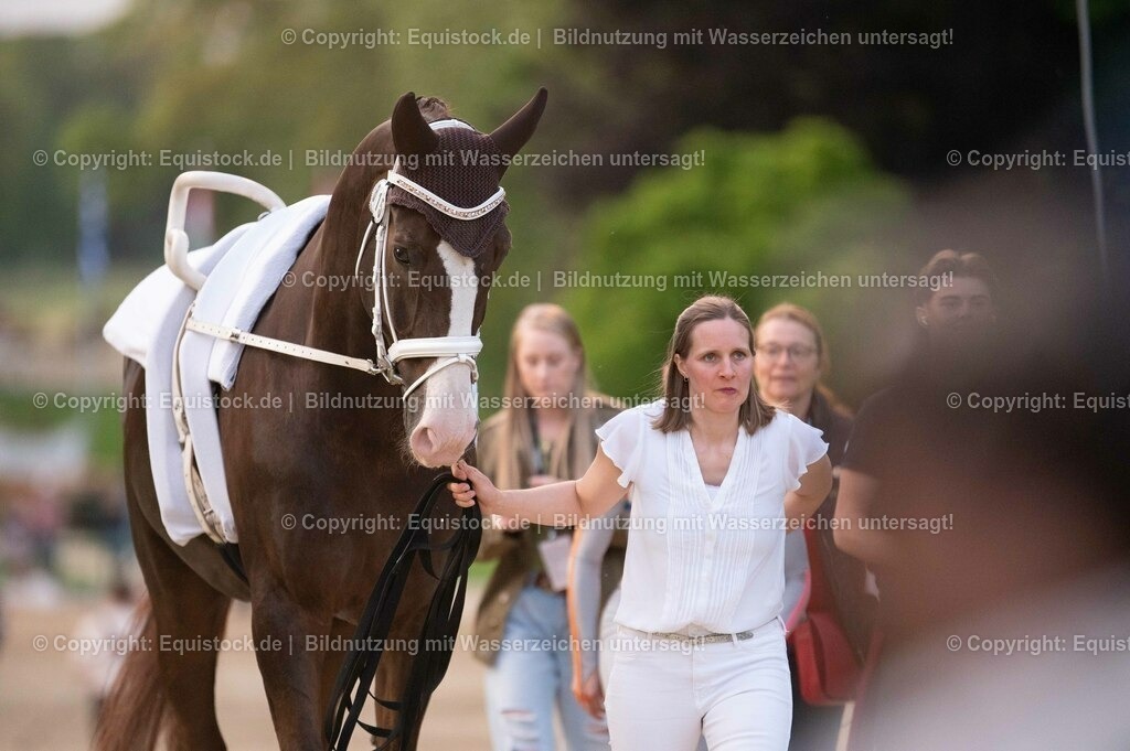 20230527_Voltigieren_NASPA_Flutlicht_0018 | equistock