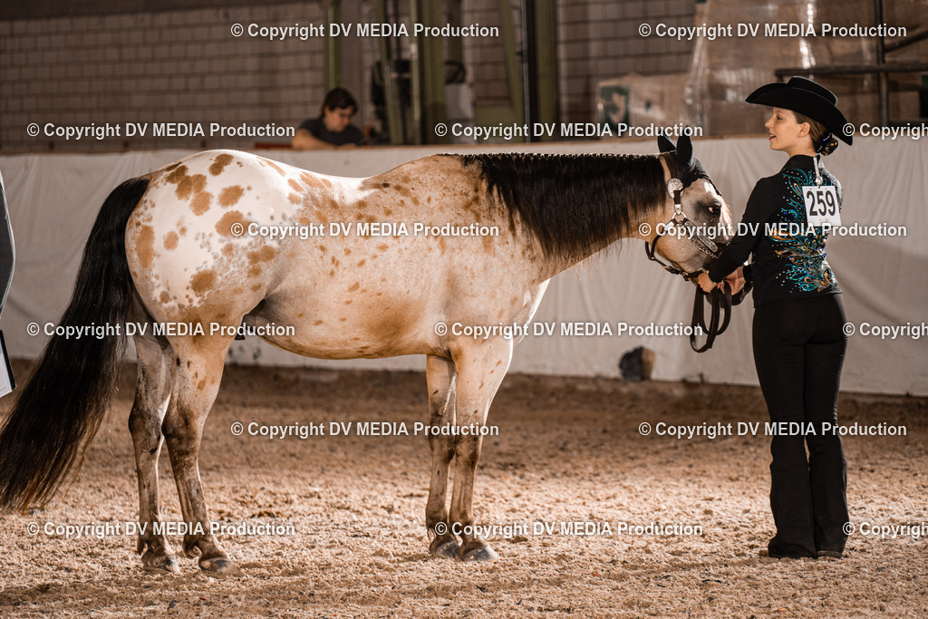 ZH200224 | dv-media-shop - Realisiert mit Pictrs.com