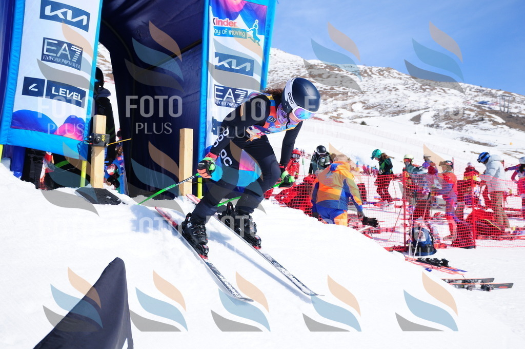 DSC_4620 | holidayphoto