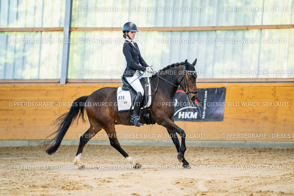 DSC06126 | Pferdegrafie