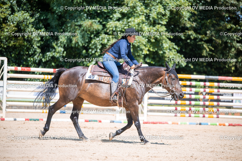 ZS1_1150 | dv-media-shop - Realisiert mit Pictrs.com