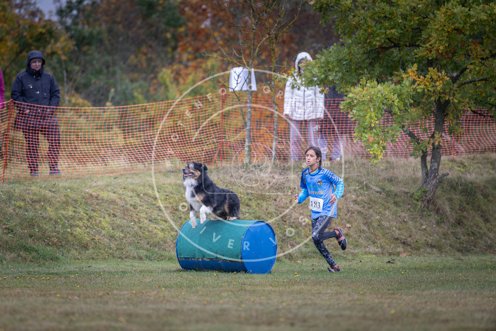 Pfotenfotografie_DV3A0366 | Hundefotografie, Tierfotograf, Pfotenfotografie, Fotoshooting Hund, Hunde Portrait, Hundesport, Hundeportraits, Heideshooting, Hunde, Sportfotograf, Hundefotograf, Turnierhundsport, THS,  - Realisiert mit Pictrs.com