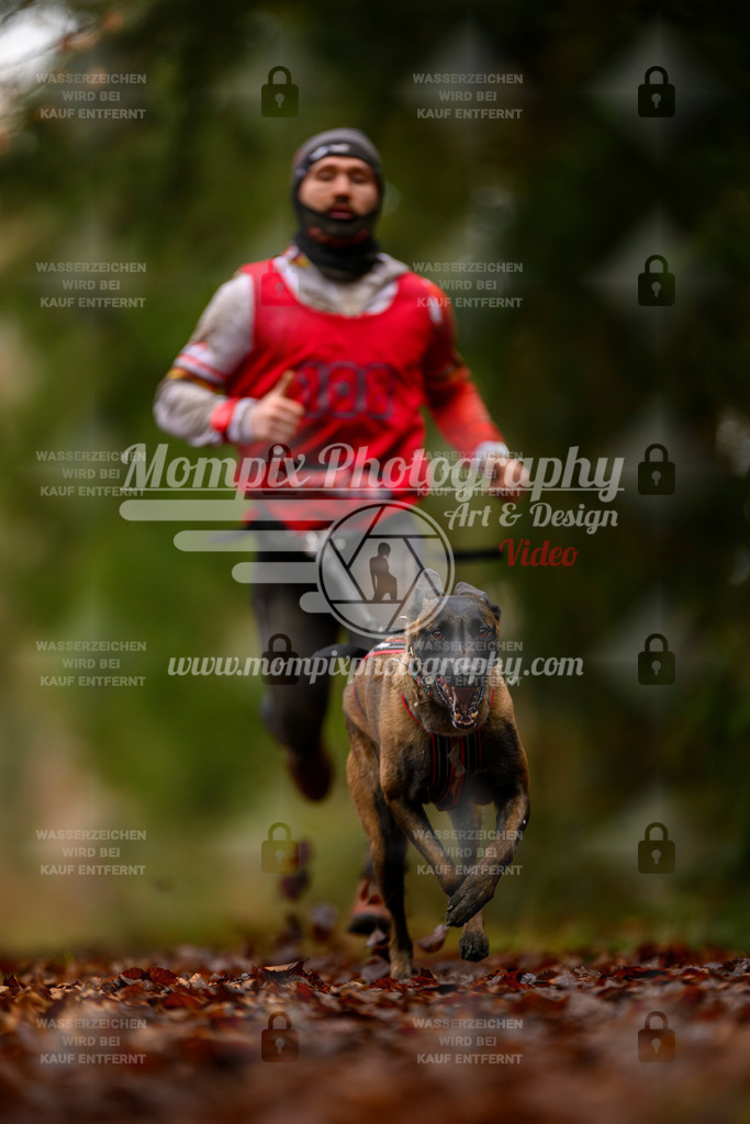 MompixPhotography_2SSTSSBW_2025_SO_Canicross-64 | PayLife