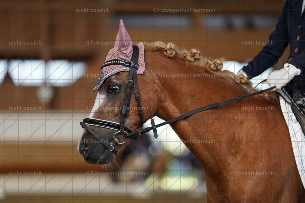 20240824-FAH07144 | Thierhaupten 2024, Bayerisches Landesponyturnier, Turnierbilder, Ponybilder, Turnierfotografen Bayern, Fotoagentur Herrmann