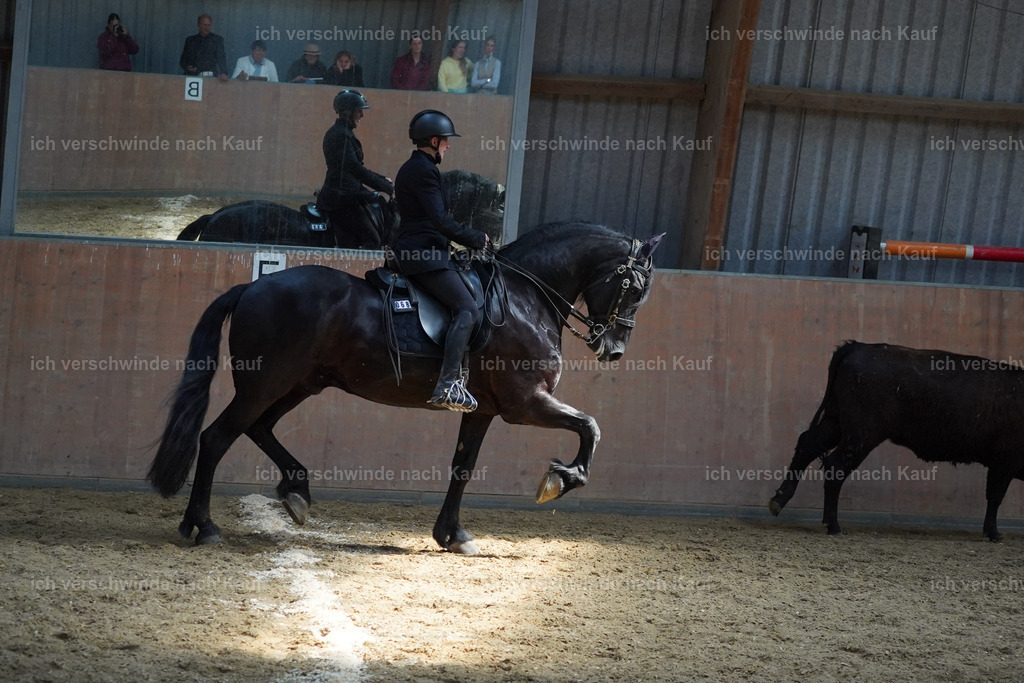 KlasseM_Lucie771 | working equitationturnier fotograf videograf stoibphotography marixx film working equitation deutschland reitsport turnierfotografie eventfotografie equestrian events