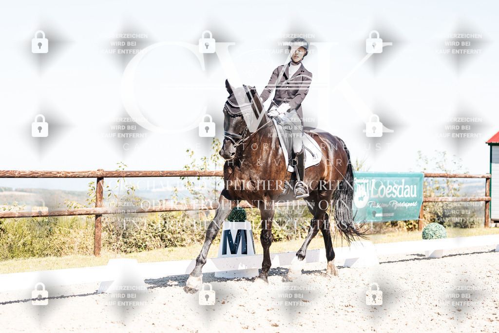 CK909905 | Turnierfotografie Pferdefotografie Trier Rheinland-Pfalz Pferdesport Reitsport Tierfotografie Sportfotografie Pferdevideo Pferdevideografie Equestrianvideography equestrianphotography  - Realisiert mit Pictrs.com