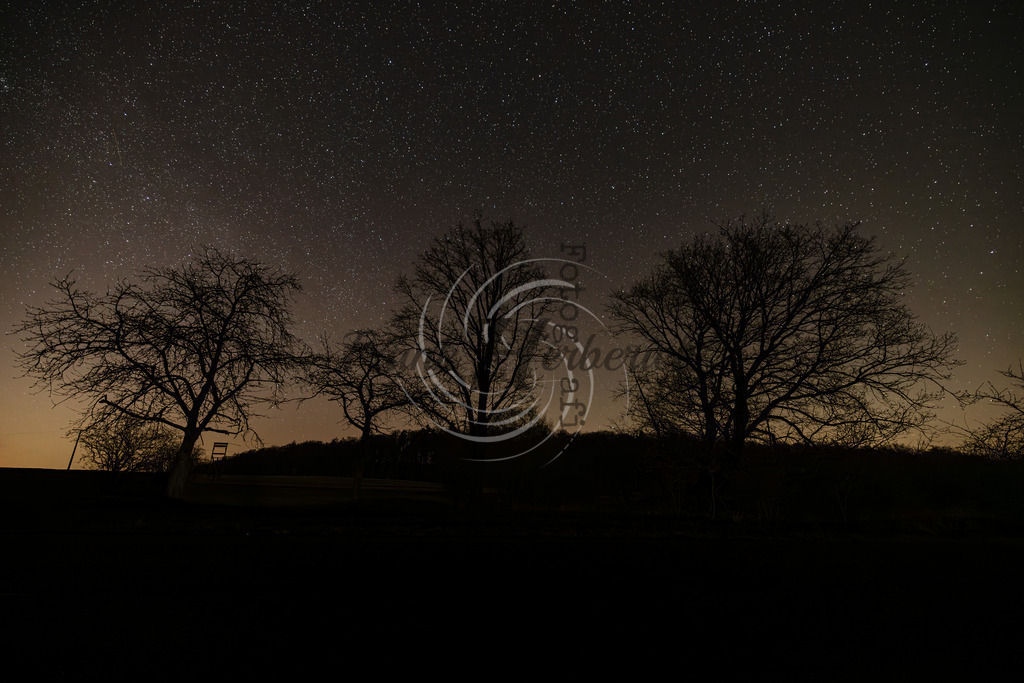 _X0A9028-Enhanced-NR | Frank Herberich Fotografie, Frank Herberich, Fotografie, Hochzeit, Portrait, St. Peter Ording, Ording, Westerhever, Nordsee, Frank Fotografie, Hardheim,  Odenwald,Walldürn, Band,Eventfotografie - Realized with Pictrs.com