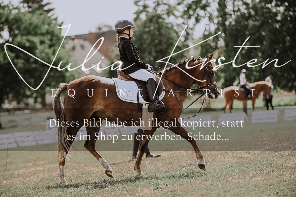 DSC_7603 | Pferde- und Turnierfotografie in Westsachsen. Pferdeportraits, Auftragszeichnungen und intuitive Kunst.