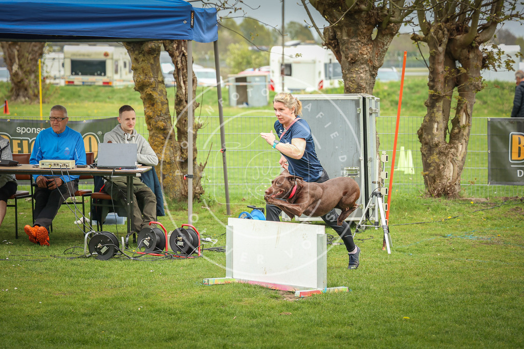 Pfotenfotografie_0L8A9942 | Hundefotografie, Tierfotograf, Pfotenfotografie, Fotoshooting Hund, Hunde Portrait, Hundesport, Hundeportraits, Heideshooting, Hunde, Sportfotograf, Hundefotograf, Turnierhundsport, THS,  - Realisiert mit Pictrs.com