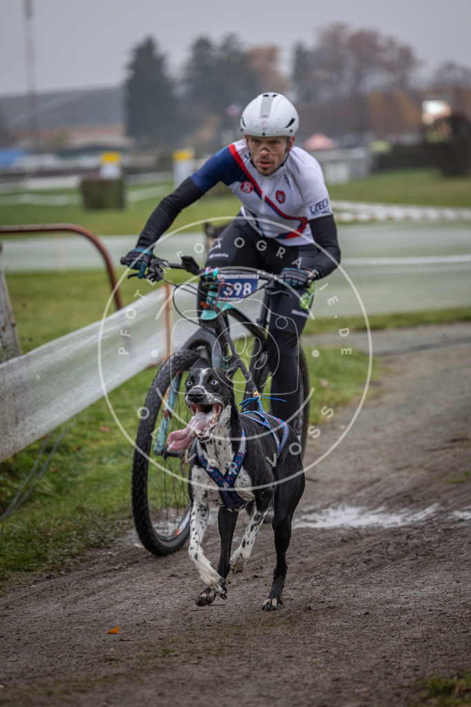 CaniXpix_0L8A1319 | Hundefotografie, Tierfotograf, Pfotenfotografie, Fotoshooting Hund, Hunde Portrait, Hundesport, Hundeportraits, Heideshooting, Hunde, Sportfotograf, Hundefotograf, Turnierhundsport, THS,  - Realisiert mit Pictrs.com