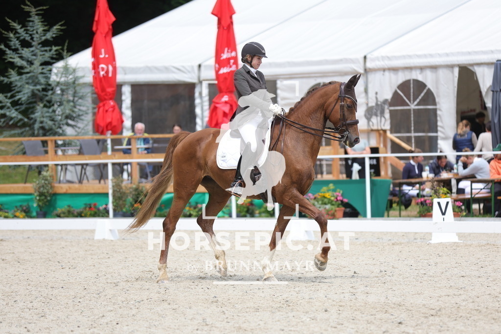 0P6A5398 | Willkommen bei Brunnmayr - Design & Fotografie – Ihrem Spezialisten für Reitturniere und Pferdeveranstaltungen in Oberösterreich, Salzburg und Bayern! Seit über 17 Jahren sind wir leidenschaftlich dabei.