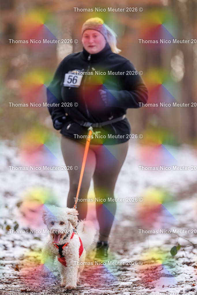 Thomas_Nico_Meuter(C)_223A8947 | Bild von Thomas Nico Meuter - Realisiert mit Pictrs.com