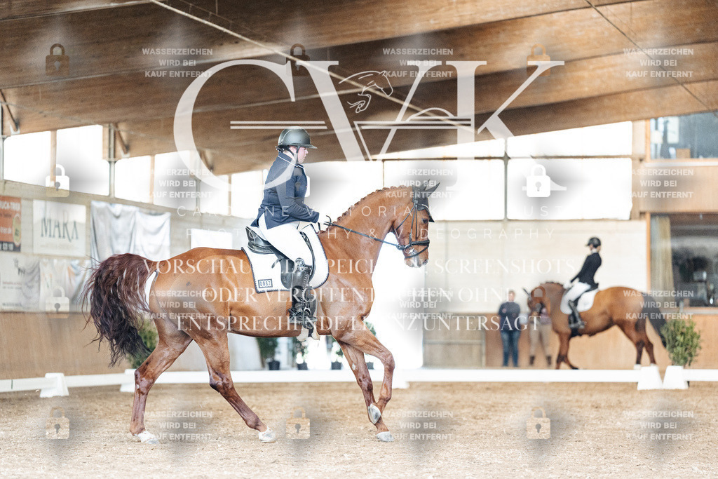 CK901692 | Turnierfotografie Pferdefotografie Trier Rheinland-Pfalz Pferdesport Reitsport Tierfotografie Sportfotografie Pferdevideo Pferdevideografie Equestrianvideography equestrianphotography  - Realisiert mit Pictrs.com