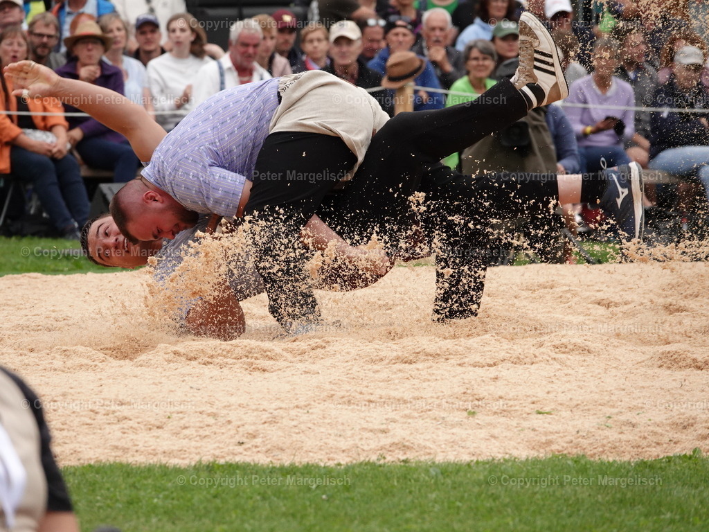 DSC08372 | Schwingen - Realisiert mit Pictrs.com