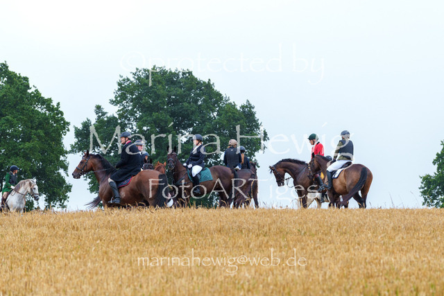 Jagd Kletkamp 26-02798_MarinaHewig | Fotografie, FotoArt, PferdesportArt, Pferdesportfotografie, Landschaftsfotografie, Reisefotografie, Reise, Pferde - Realisiert mit Pictrs.com