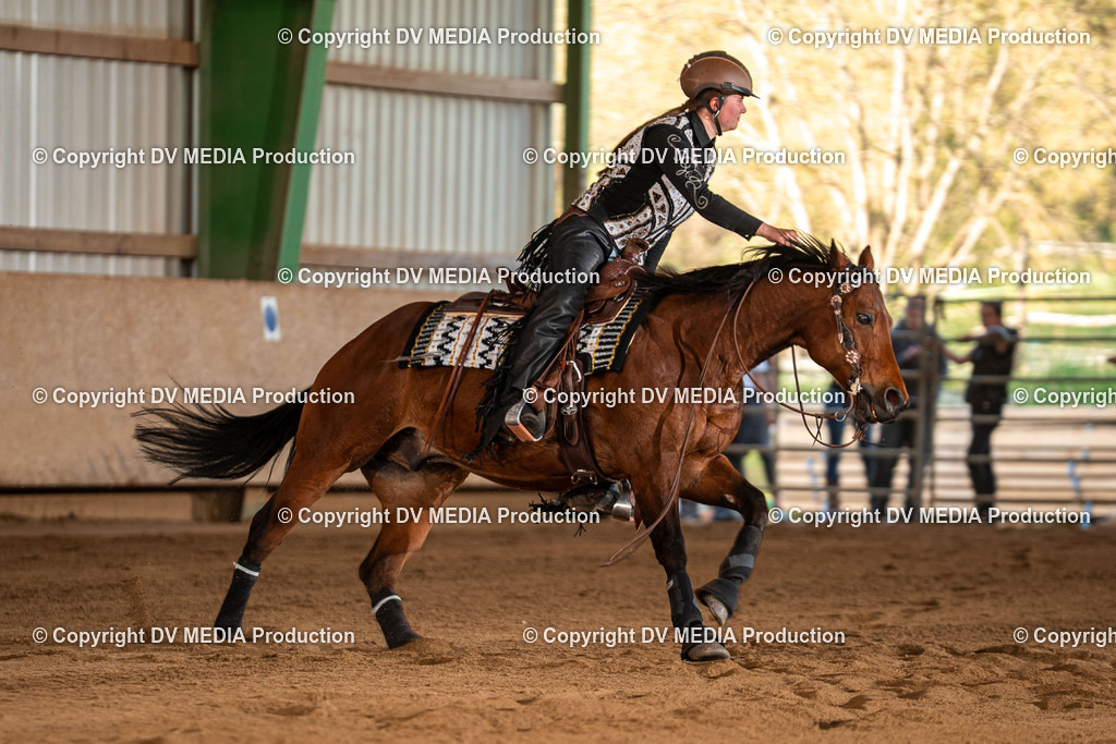 Balingen Tag 3-1501 | dv-media-shop - Realisiert mit Pictrs.com