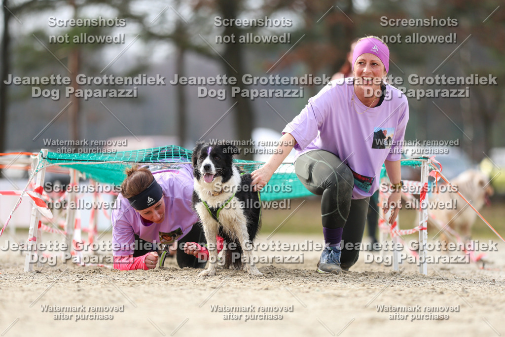 Dog Paparazzi - Strongdog North Mrz26-5255 | Dog Paparazzi Jeanette Grottendiek Fotografie & Videografie - Realisiert mit Pictrs.com